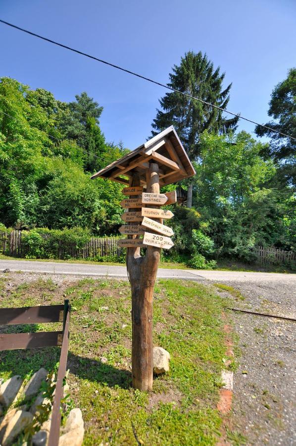 Lampertice Ubytovani U Krakonoseヴィラ エクステリア 写真